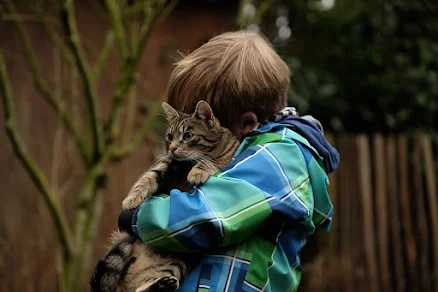 Enseña a los niños el amor hacia los animales