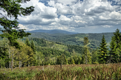 Hiking Loop around Złatna - Blue Route