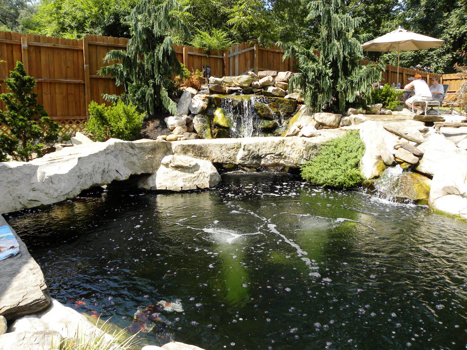 Fish Pond Landscaping