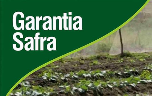 Informe : Garantia safra de Irecê