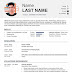 Free resume template in Word format English language template (8)