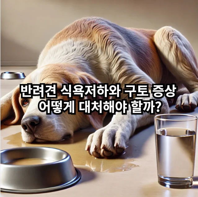 반려견 식욕저하와 구토 증상, 어떻게 대처해야 할까?