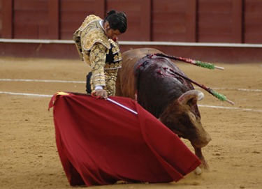 Imagen-1099-128-1