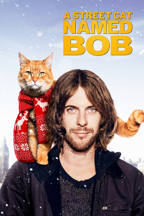 A spasso con Bob 2016 Film Completo Download