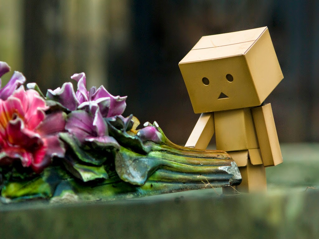 WALLPAPER ANDROID IPHONE Wallpaper Danbo Sedih