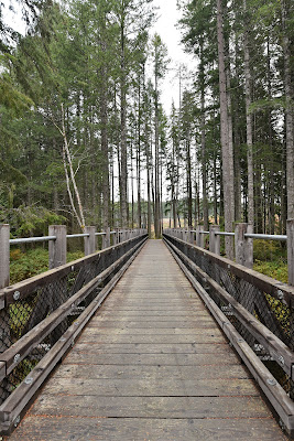 Trans Canada Trail Shawnigan Lake BC.