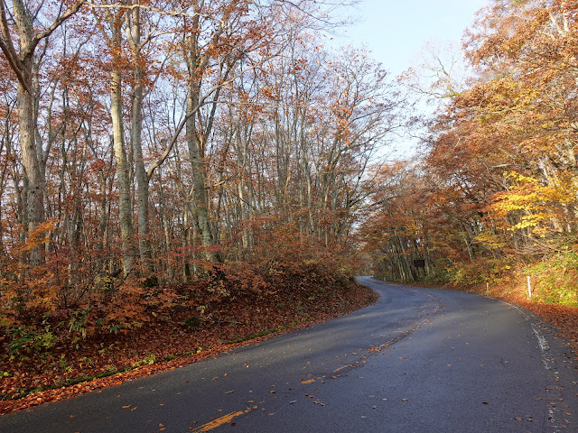 鳥取県道45号倉吉江府溝口線（大山環状道路）の紅葉