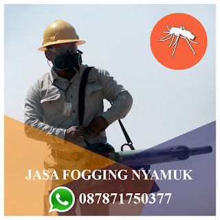 Telp : 087871750377 Jasa Fogging Nyamuk di Gayamsari Semarang