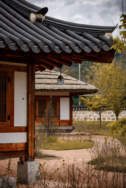 Immersi nella Natura al Palazzo Temporaneo di Chojeong