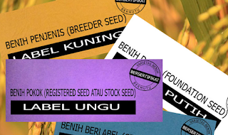 sertifikat benih padi, padi bersertifikat, arti sertifikat, warna sertifikat, bibit unggul