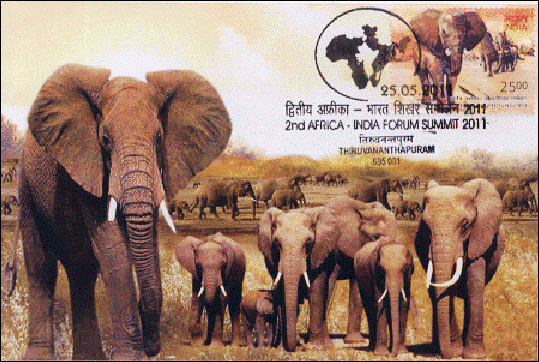 MC ELEPHANT 2