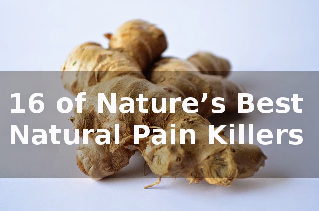 16 Of Nature’s Best Natural Pain Killers