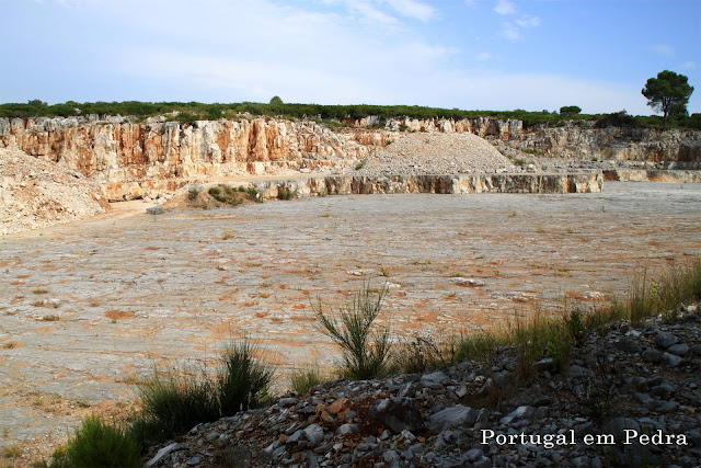 Laje com trilhos de dinossauros em Vale de Meios - Portugal