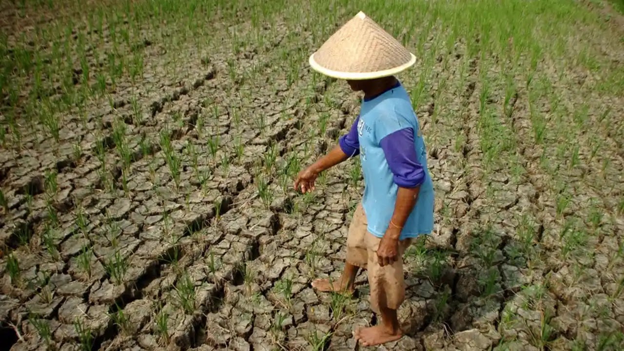 DKP3 Kota Serang Berikan Bantuan Kepada Petani Terdampak Kekeringan