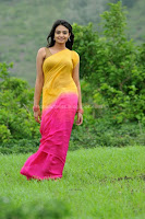 Nikitha, Narayan, Cute, Saree, Photos