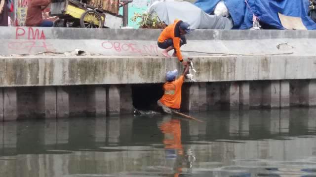 Demi Seekor Kucing, Petugas Kebersihan Ini Rela Masuk Ke 