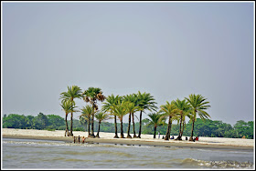 Nijhum Dwip Sea Beach, Virgin Island Sea Beach, Nijhum Island Hatia, Trip Navigation Bangladesh, Nijhum Dwip Travel Guide