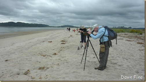 Plum Island_011 (1)