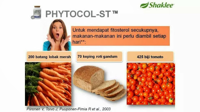 phytocol-st,launching phytocol, NC, National conference shaklee, kolesterol, fitokimia, fitosterol