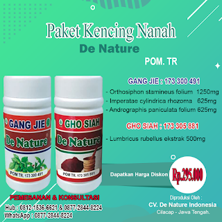 Nama Dan Harga Obat Kencing Nanah Yang Dijual Di Apotik Umum