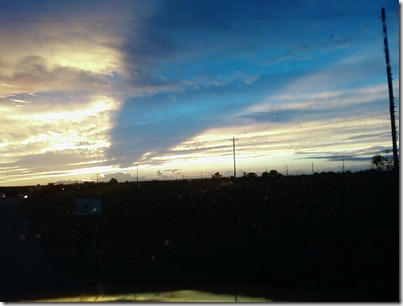 cloud bird in the sky