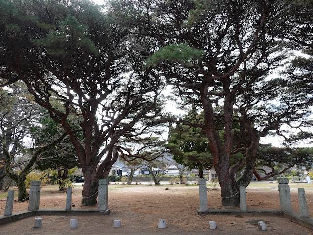 山口県萩市呉服町の香雪園