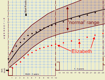 Child Development Chart