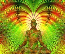 ayahuasca