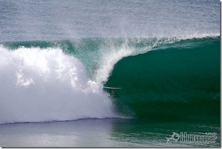 Dougy, Northern Beachs. Foto: Alex Marks