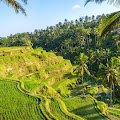 Ini alasan Bali Disukai Turis Asing