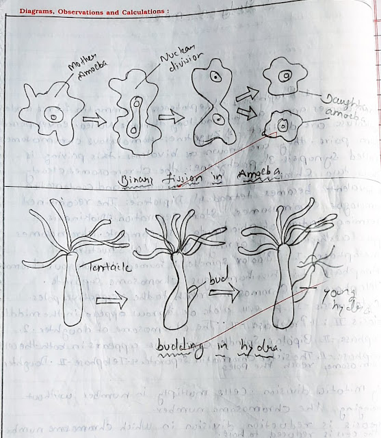 Science & Technology Experiment solution 10th std MHSSC Board Part-3