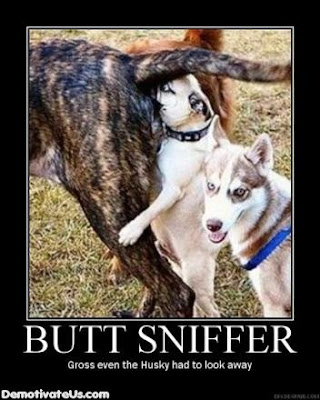 demotivational posters demotivational posters funny_13. demotivational posters