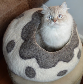 the Cat Cave Bed