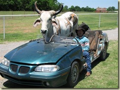 Red Neck Bull Hauler