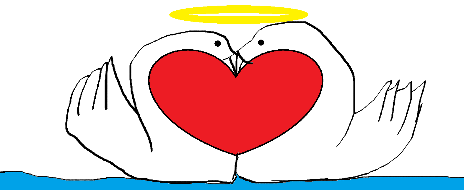 cisnes