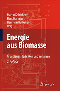 Energie aus Biomasse: Grundlagen, Techniken und Verfahren