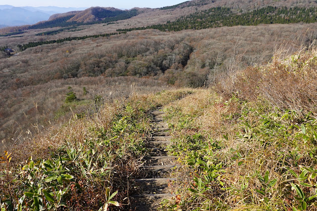 鳥取県倉吉市関金町野添 象山登山道