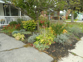 Toronto Fall Front Yard Cleanup Birch Cliff before by Paul Jung Gardening Services