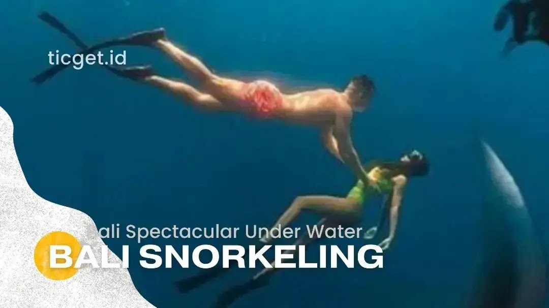 bali-spectacular-underwater-bali-snorkeling