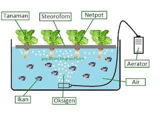 Cara Kerja Aquaponik Rakit Apung