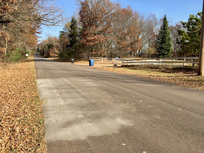 more leaves on the ground or on the trees?