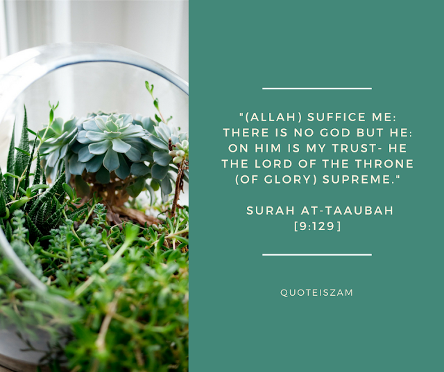 "(Allah) suffice me: There is no God but He: on Him is my trust - He The Lord of the Throne (of Glory) supreme." Surah At-Taaubah [9:129]