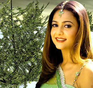 Amrita Arora Hairstyle Photo Gallery