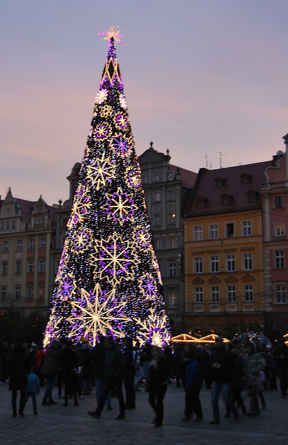 Wrocław choinka, choinka we Wrocławiu 