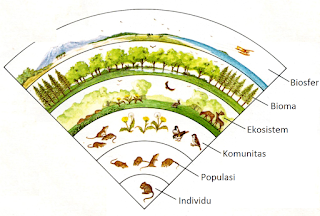 satuan ekosistem