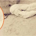 सिंदेवाही: अंगणात झोपलेल्या इसमावर वाघाचा हल्ला ७० वर्षीय इसम जागीच ठार.! | Batmi Express