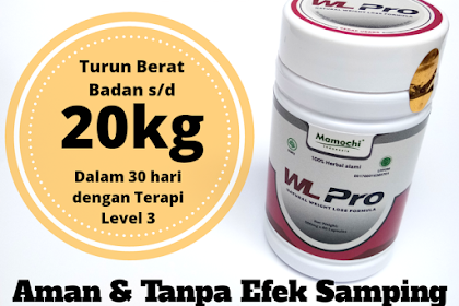 WL Pro (Garcinia Cambogia) Original 100% Obat Diet Herbal Alami