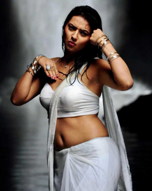 Isha Chawla looking stunning in her latest hot saree photoshoot.