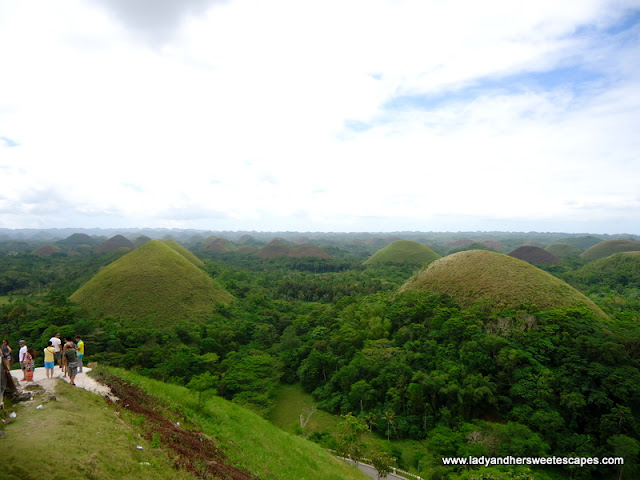 Chocolate Hills in Carmen Bohol