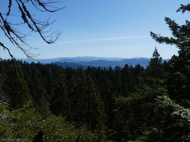 layers of mountain over the trees